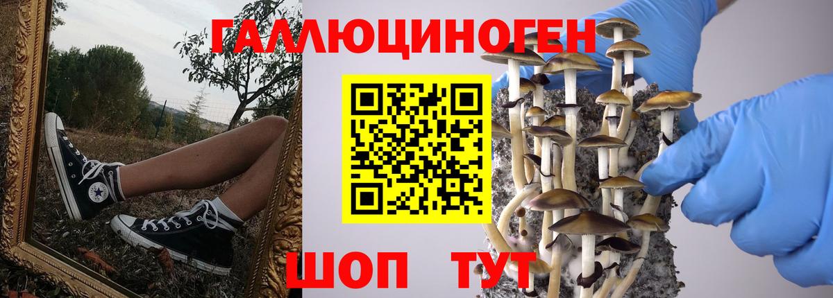 Псилоцибиновые грибы Psilocybe  Вход с VPN  Орехово-Зуево 